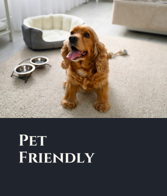 Pet Friendly
